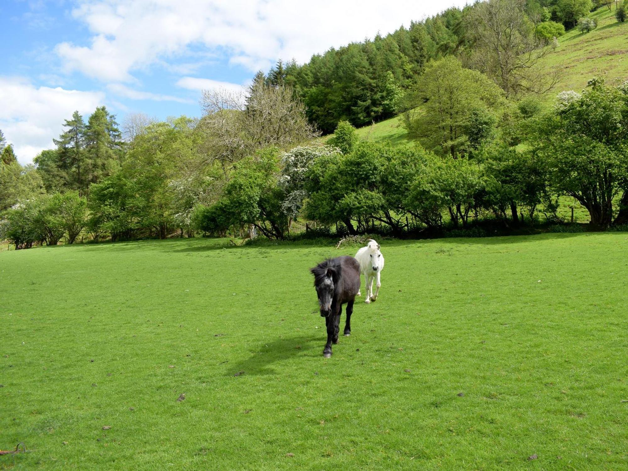 Lower Goytre Farmhouse Llanfair Waterdine エクステリア 写真